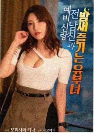 白桦回声图鉴样张封面压制图